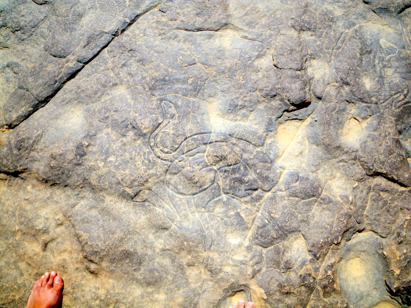 Gravure rupestre (Site de Tin Taghirt )