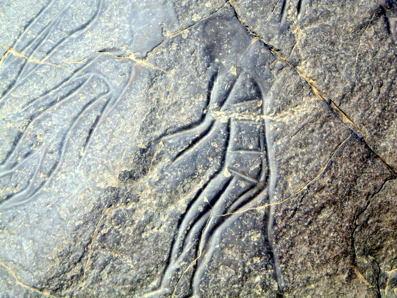 Gravure rupestre (Site de Tin Taghirt )