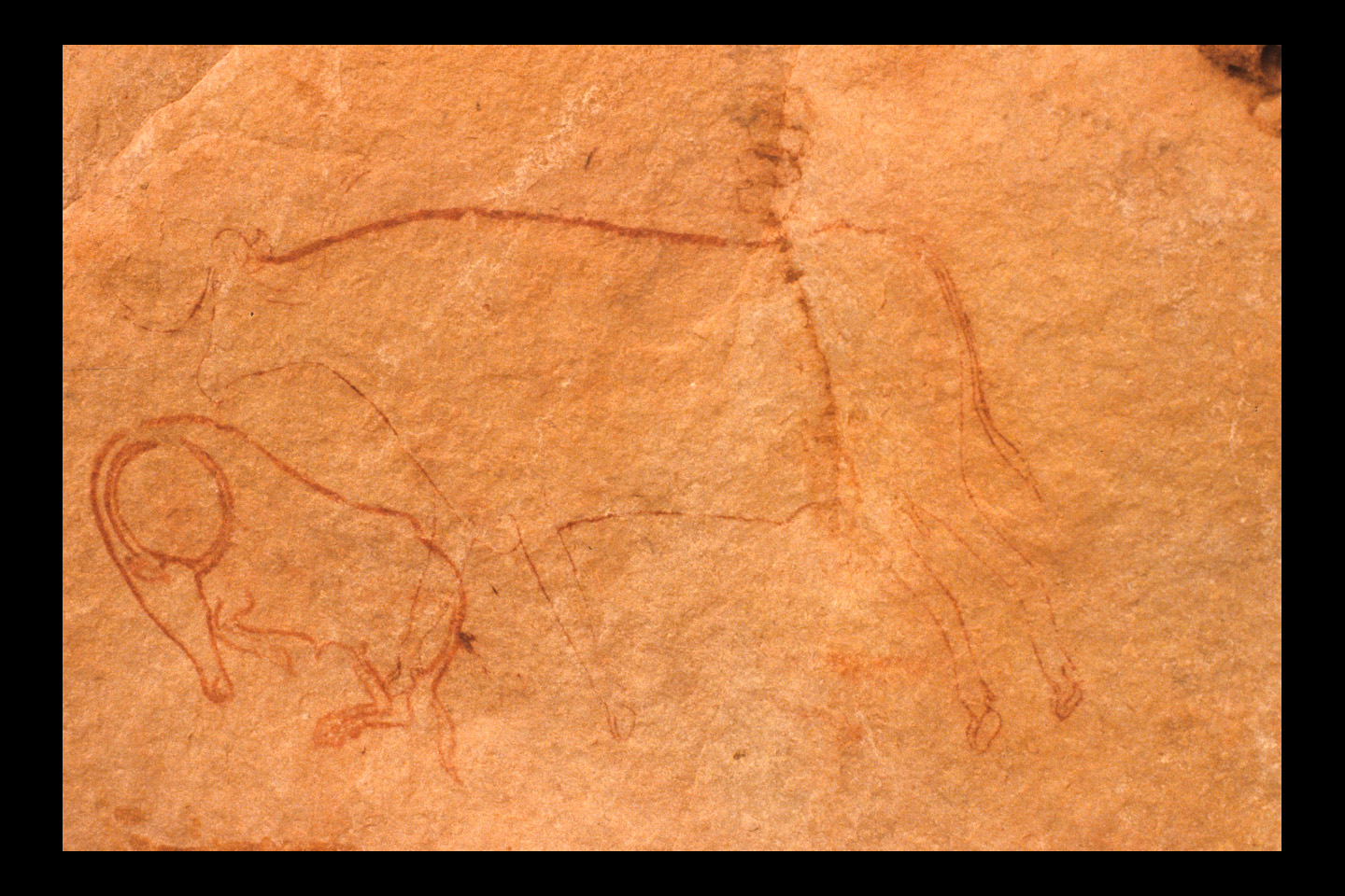 peinture rupestre de TASSET