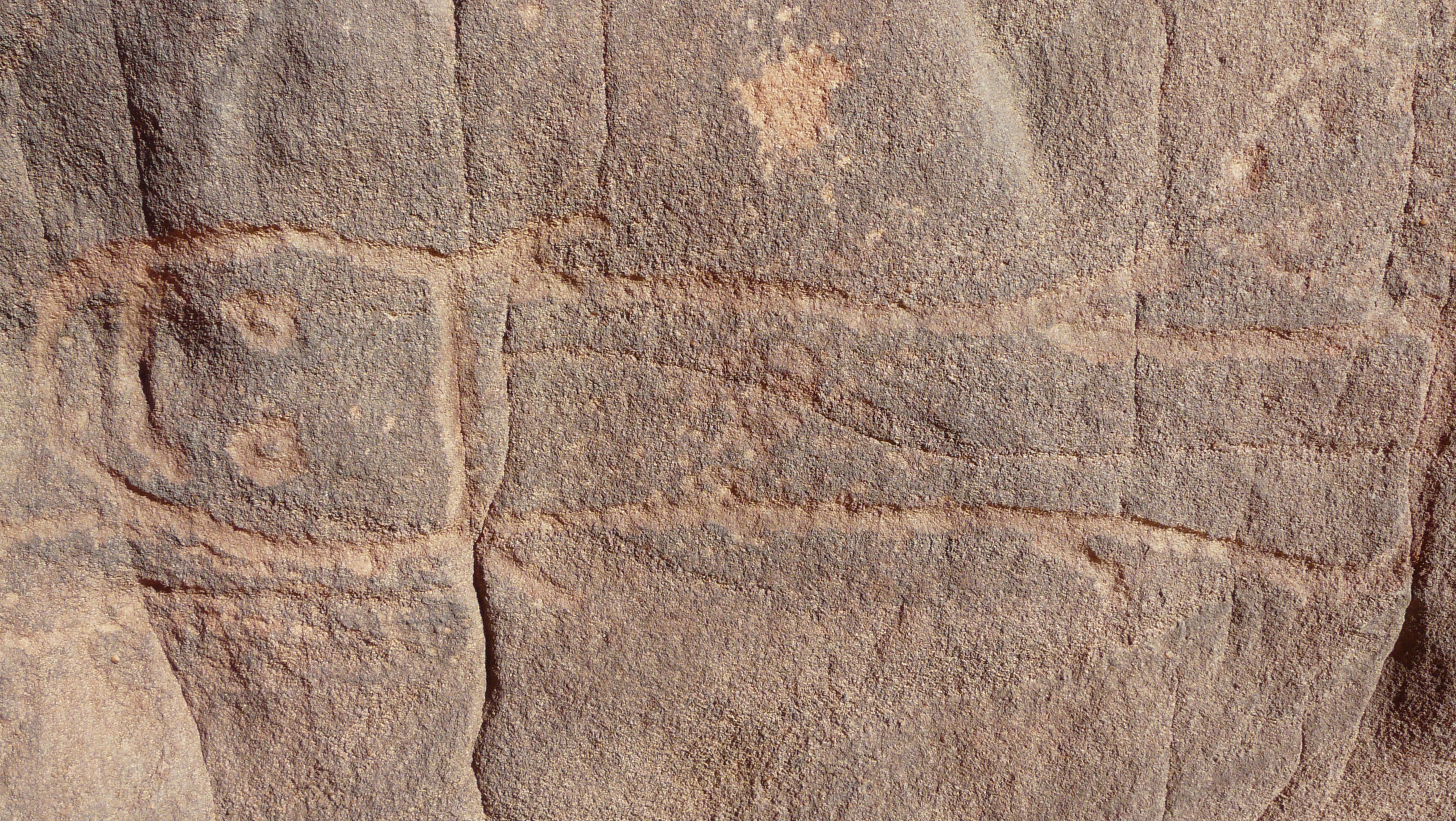 gravure (poisson chat dans Oued Injaren)