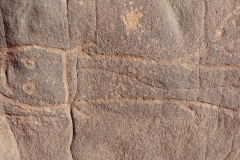 gravure (poisson chat dans Oued Injaren)
